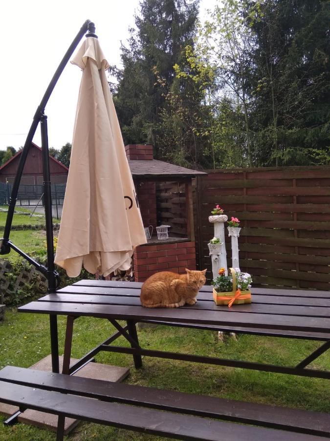 Apartament Nad Szumiacym Potokiem Wilkowice Extérieur photo